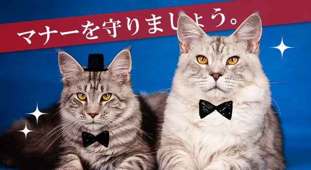 マナーを守りましょう。