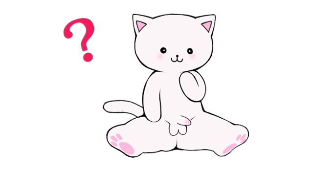 色々なタイプの男性器があるんです