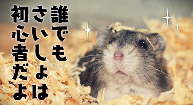 誰でもはじめは初心者の風俗バイト