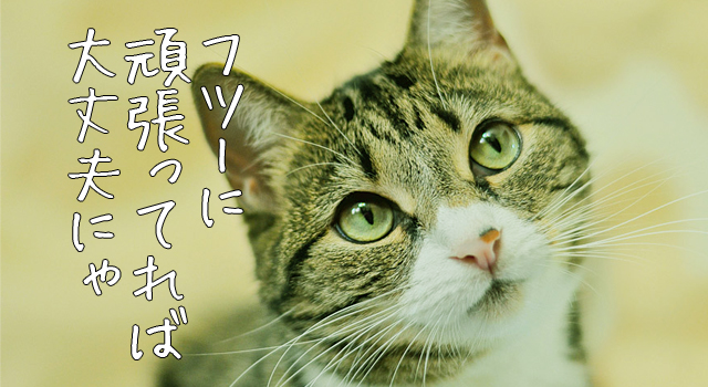 努力を続けていれば風俗嬢はクビにならないと思う猫