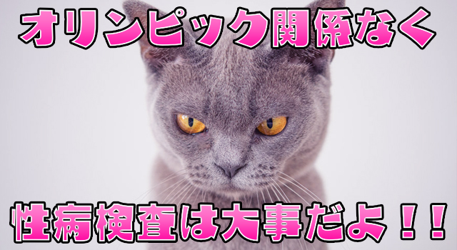 性病検査を推奨する猫