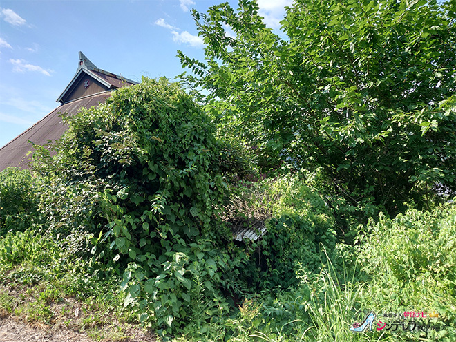 風俗男性スタッフブログ