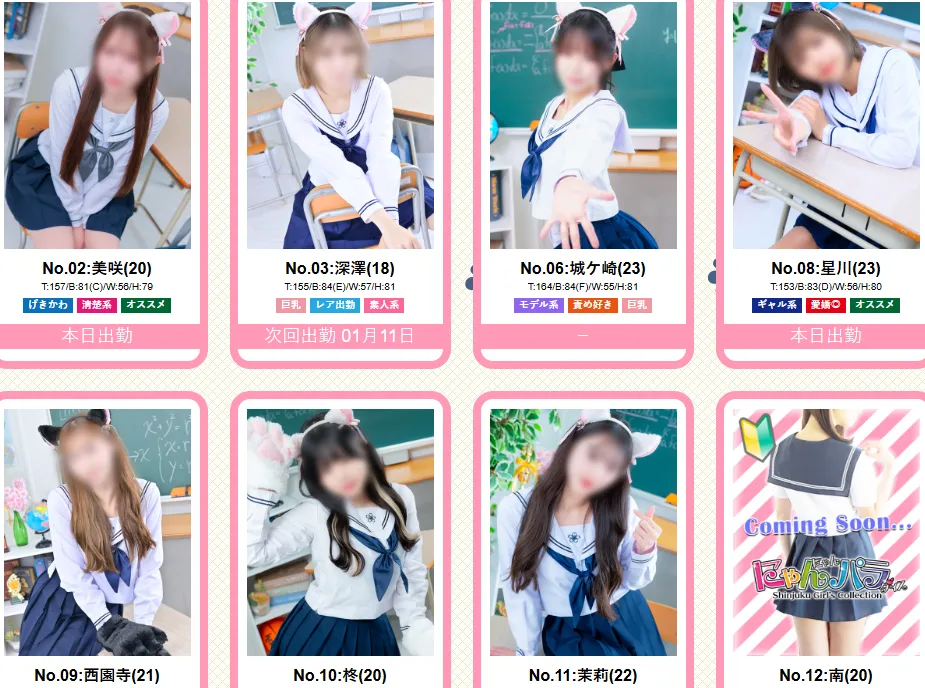 Nyan Nyan Paradise (Kabukicho)